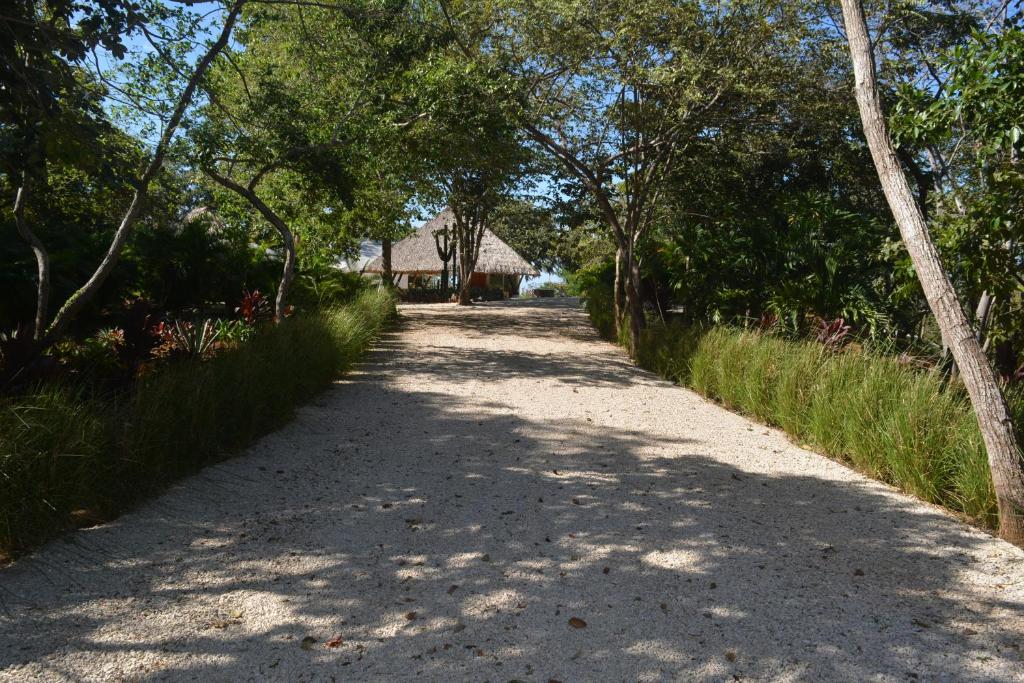 Mikado Natural Lodge photo