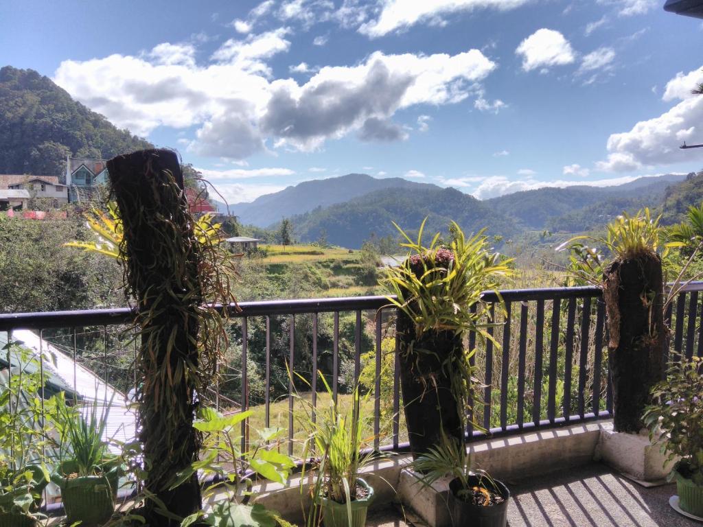 Savta Homestay photo