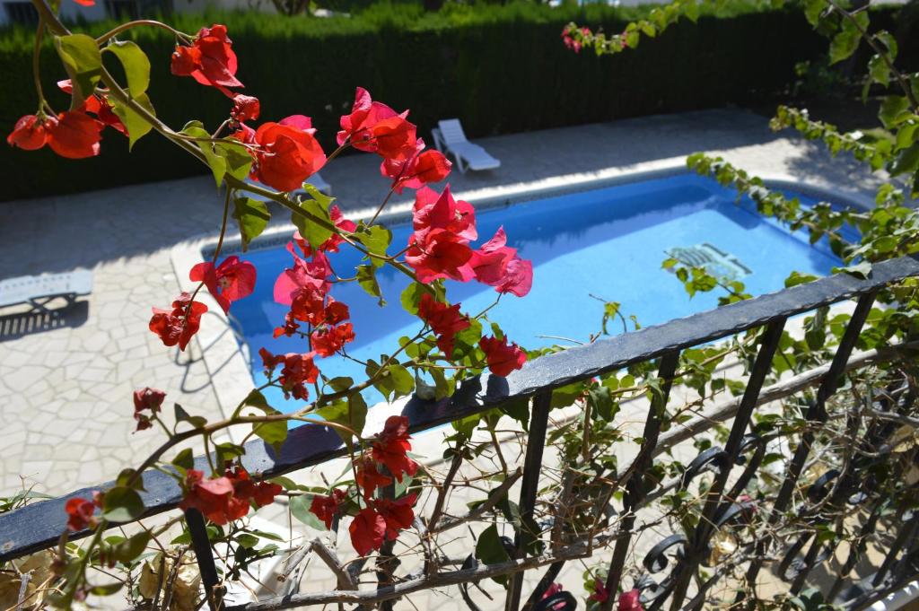 Villa Bella Cala - 3