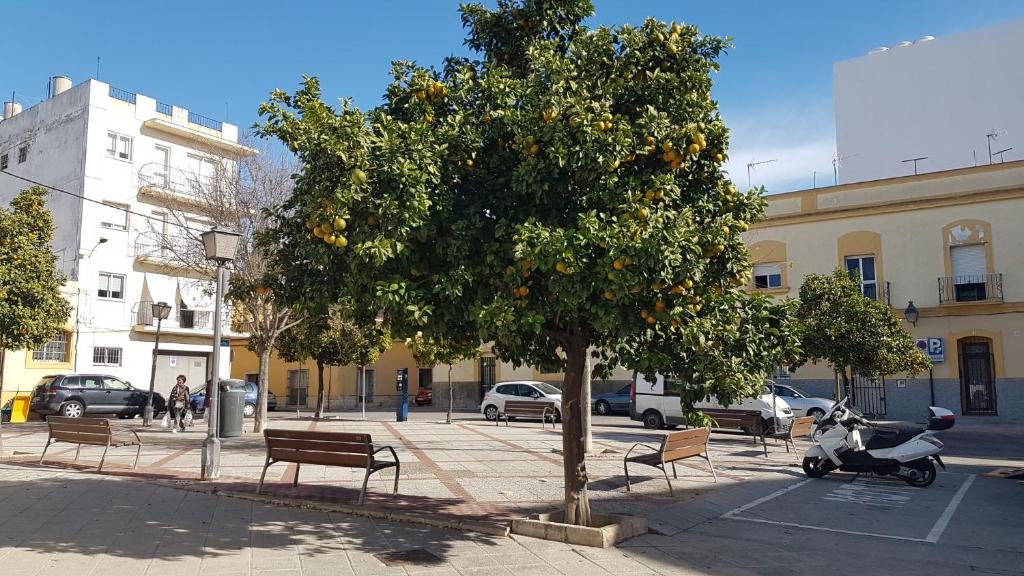 Apartamento Patri - 2