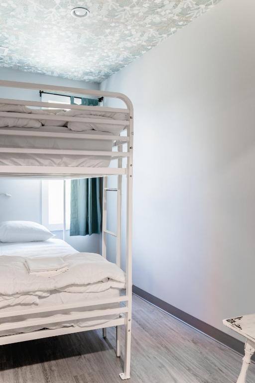 Black Elephant Hostel photo