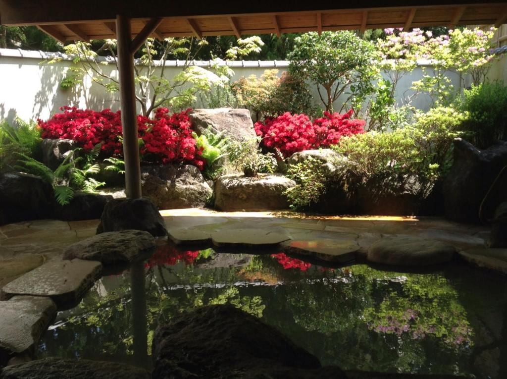 Hot spring bath