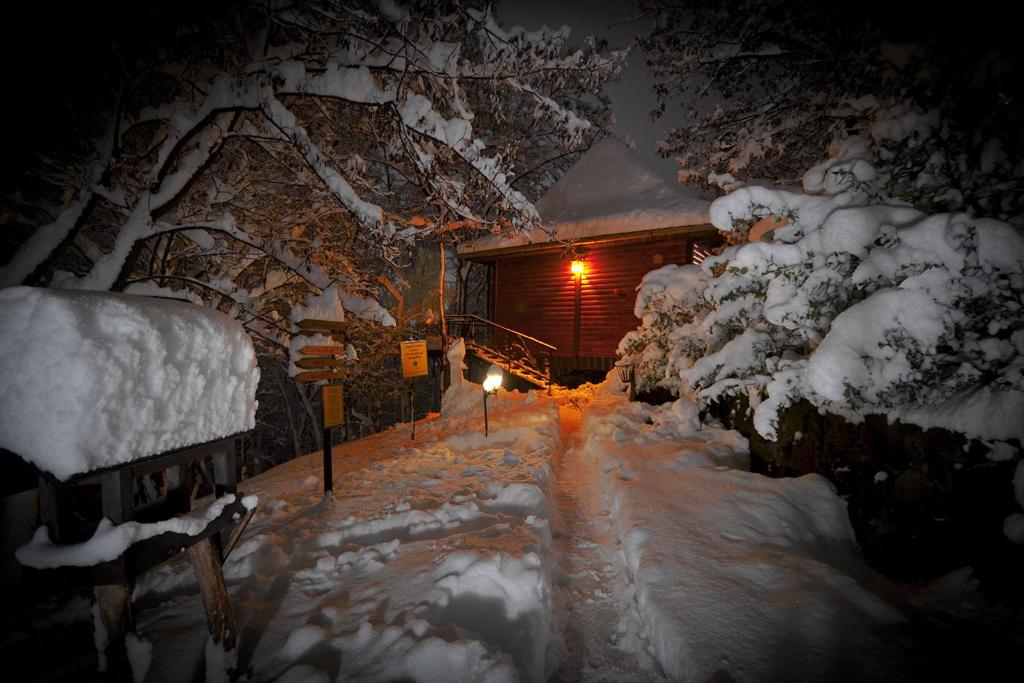 Brvnare Platan - prirodni rezervat photo