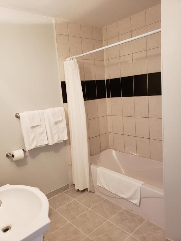 Regency Inn & Suites photo