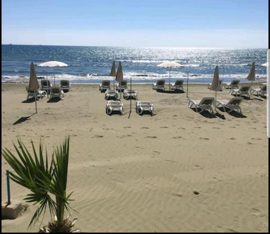 Bettys 1br seafront apt photo