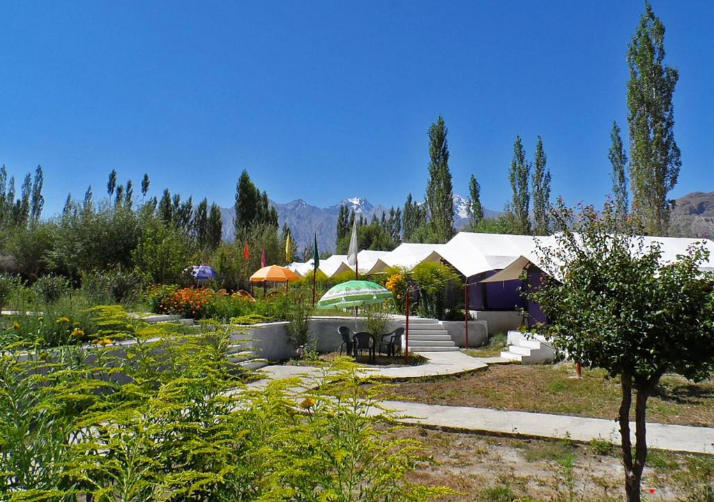 Tiger Camp Nubra — Hotel in Sumur