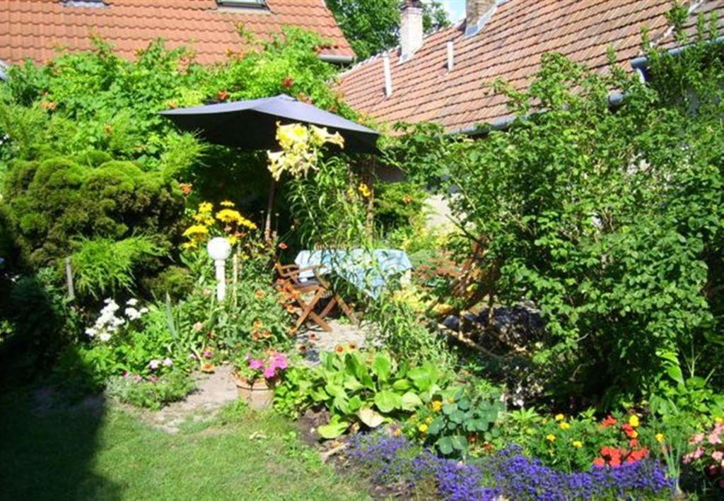 Lenart House 1 photo