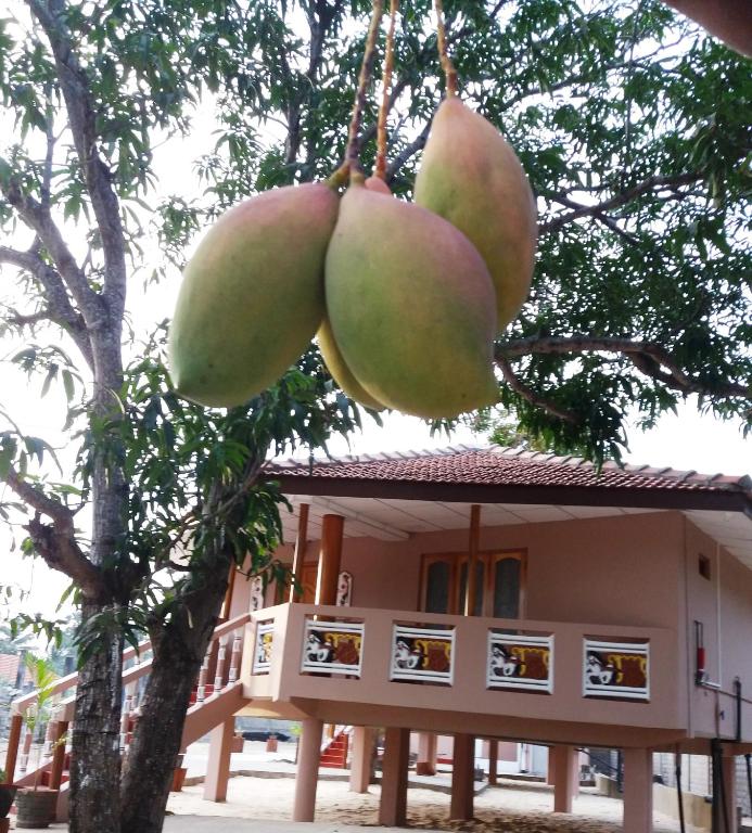pesalai plvillas photo