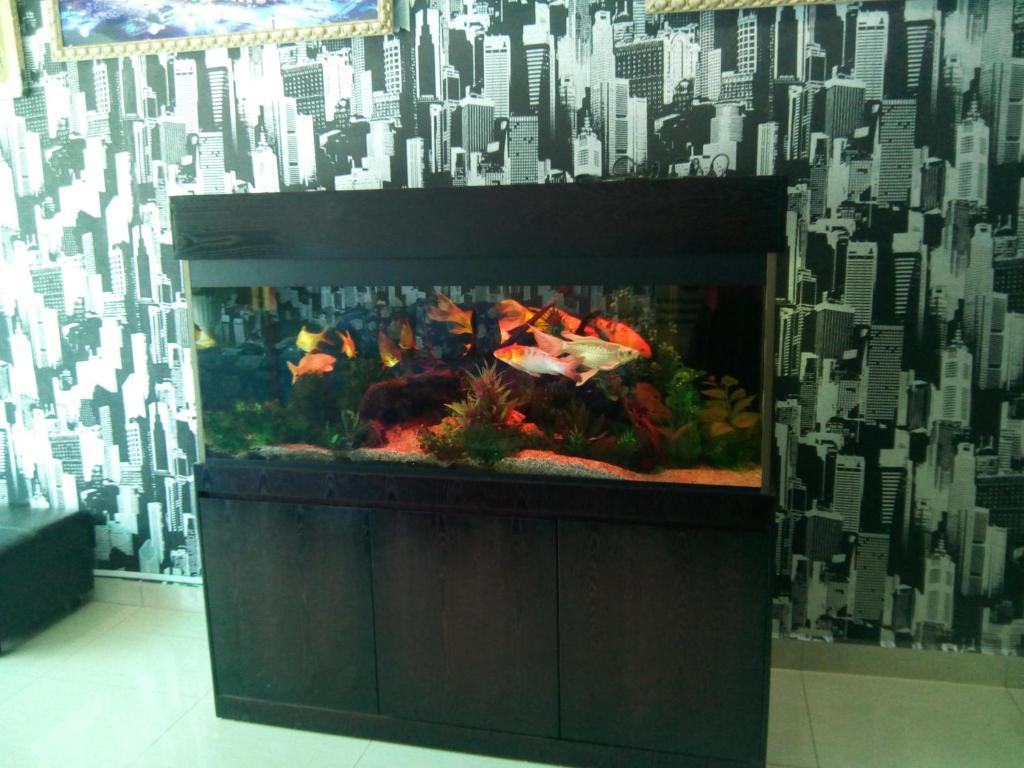 BINKHALED HOTEL photo