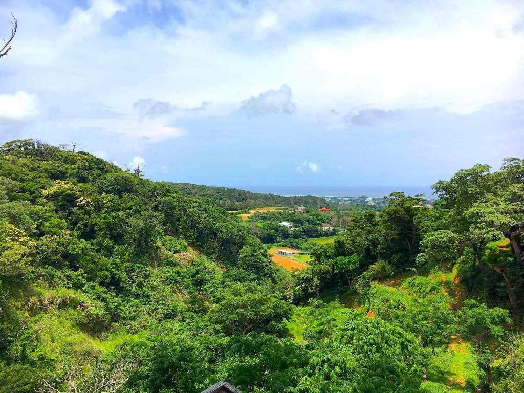 Surrounding environment