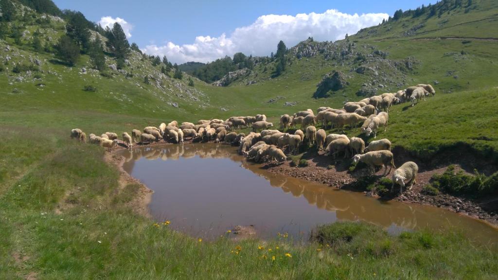 Surrounding environment