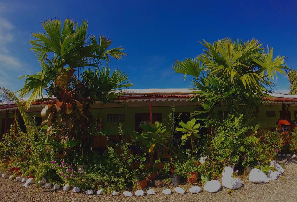 Hotel Maritza photo