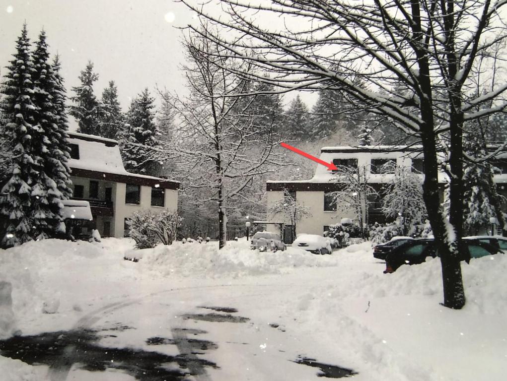 Welcome in - Appartement aan skipiste en golfbaan, Winterberg