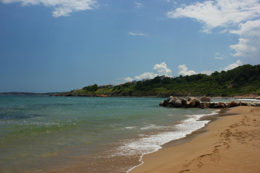 July's Island Deluxe photo