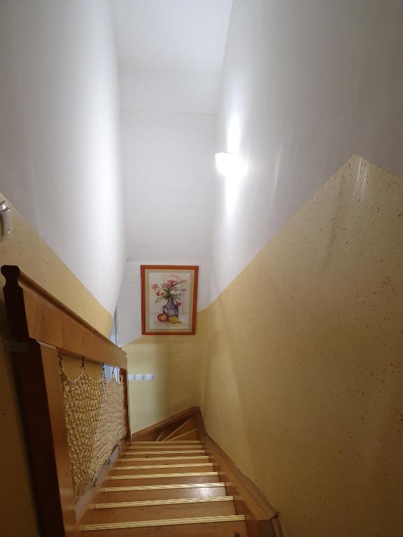 Terme Catez Apartma Nine photo