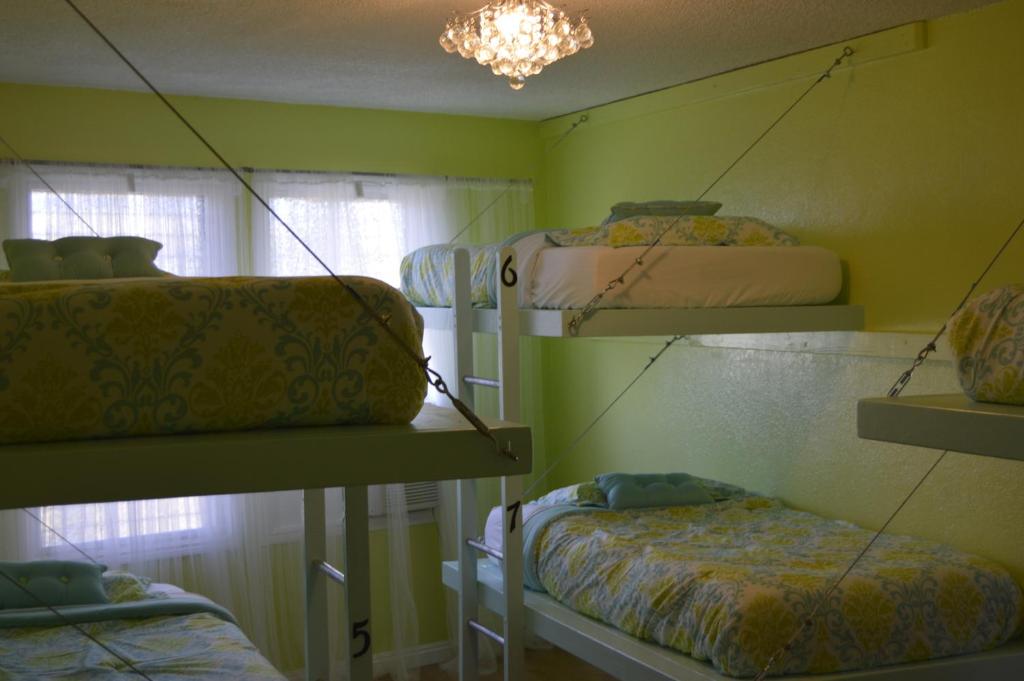 The Big Island Hostel photo