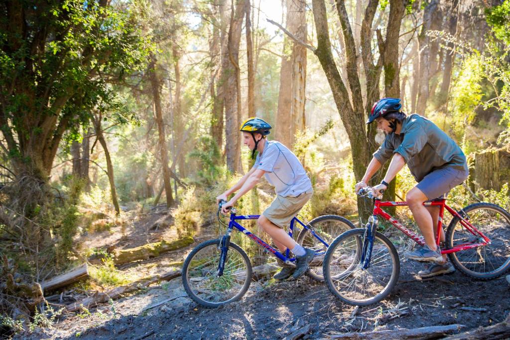 スポーツ/アクティビティ