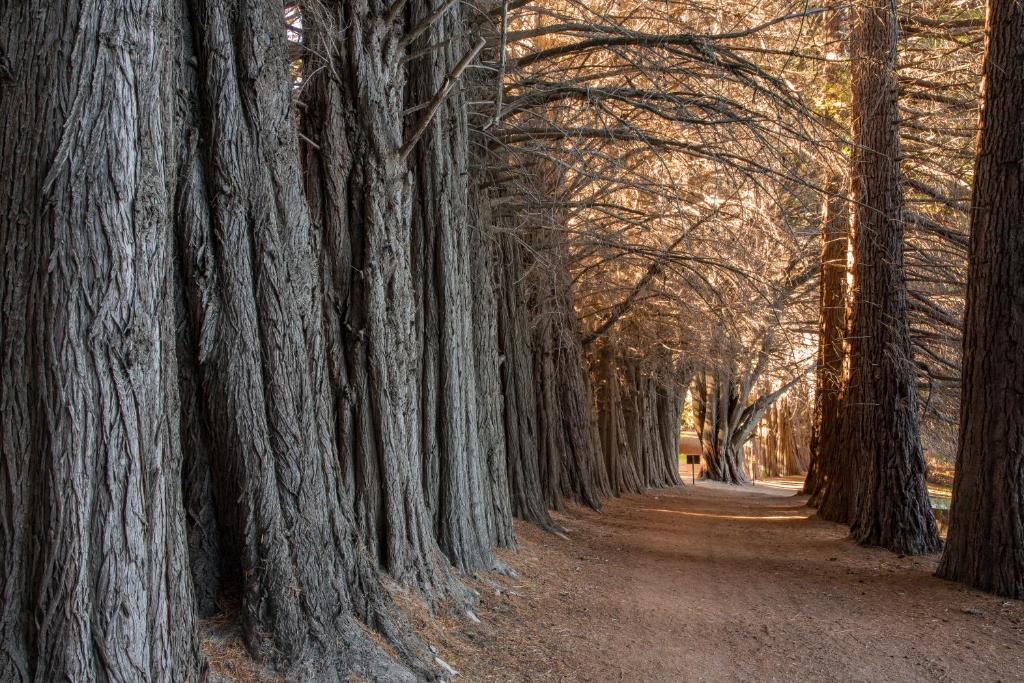 Sport och fritidsaktiviteter