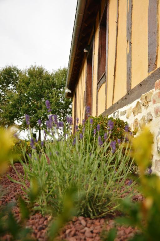 GITE "COTE JARDIN" photo