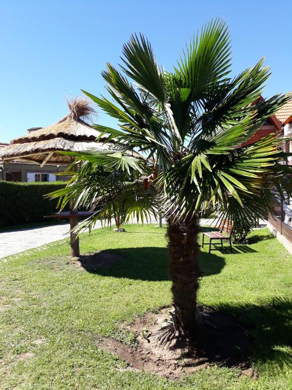 Cabañas Lo del Tano - 4