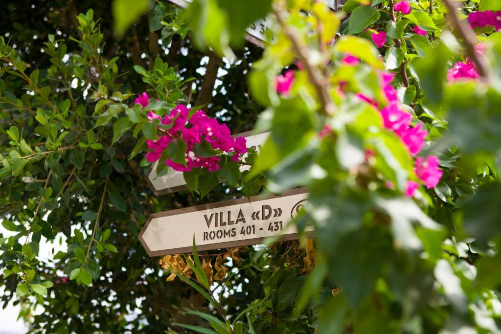 Jardí