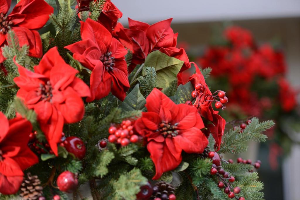 Atlantic Hotel - Free Parking - Room image