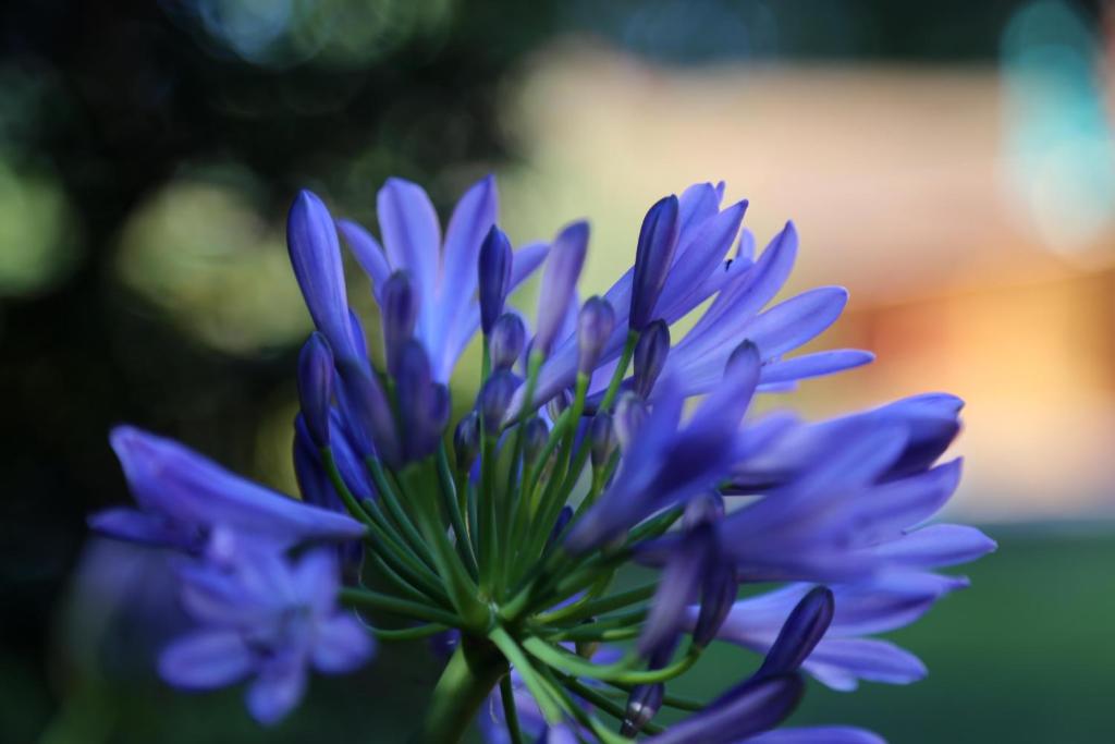 Espectacular casa - 5