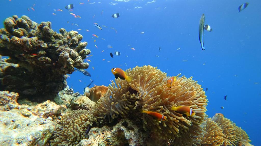 Sports and activities