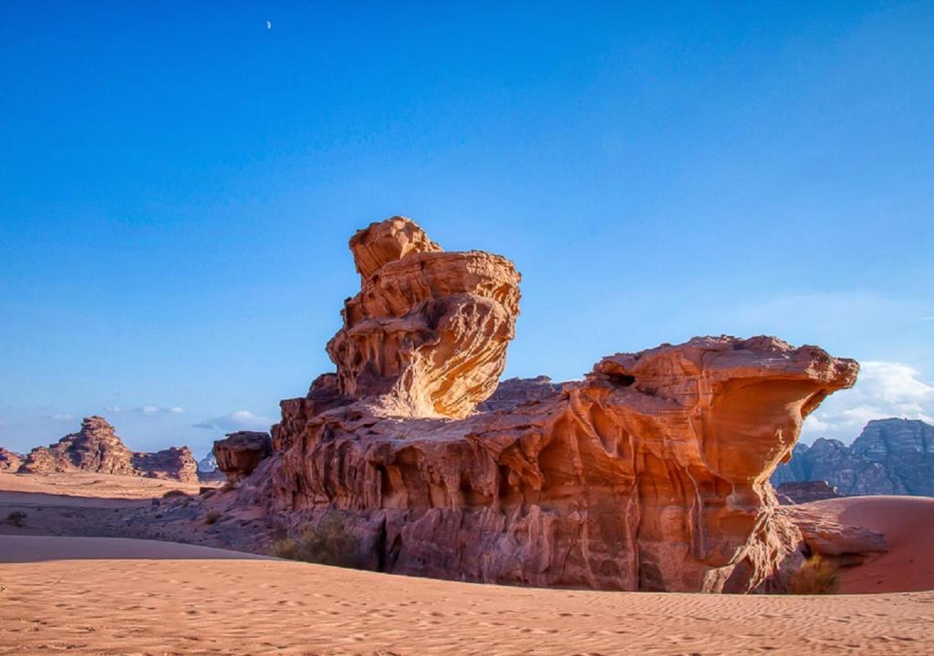 Surrounding environment