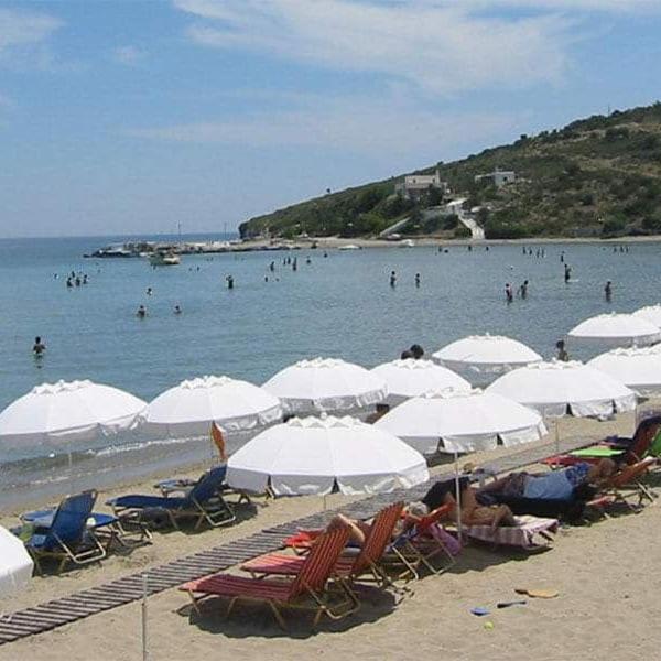 Svetlana & Michalis Oasis Hotel photo