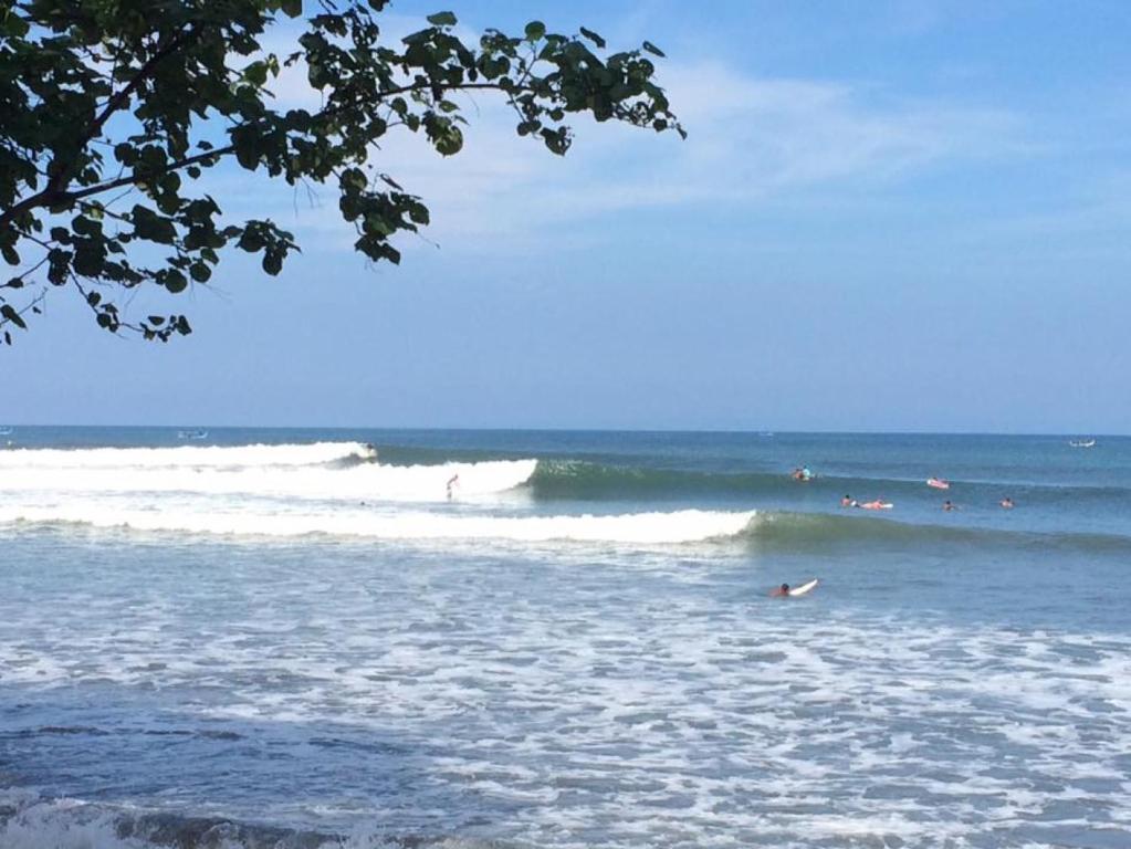 Medewi Surf Villa photo