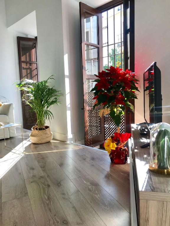 Apartamento San Fernando 27 - 2