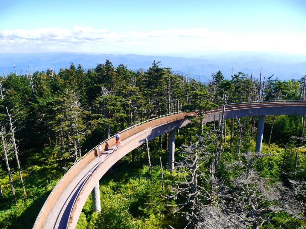 Americana Inn & Suites Photo 6