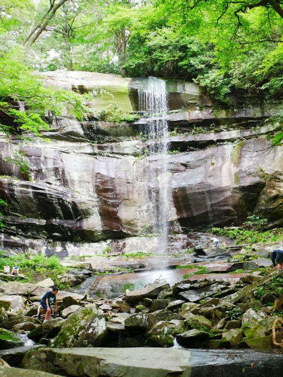 Americana Inn & Suites Photo 11