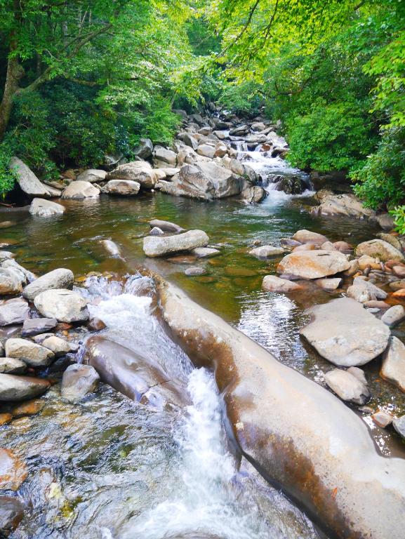 Surrounding environment