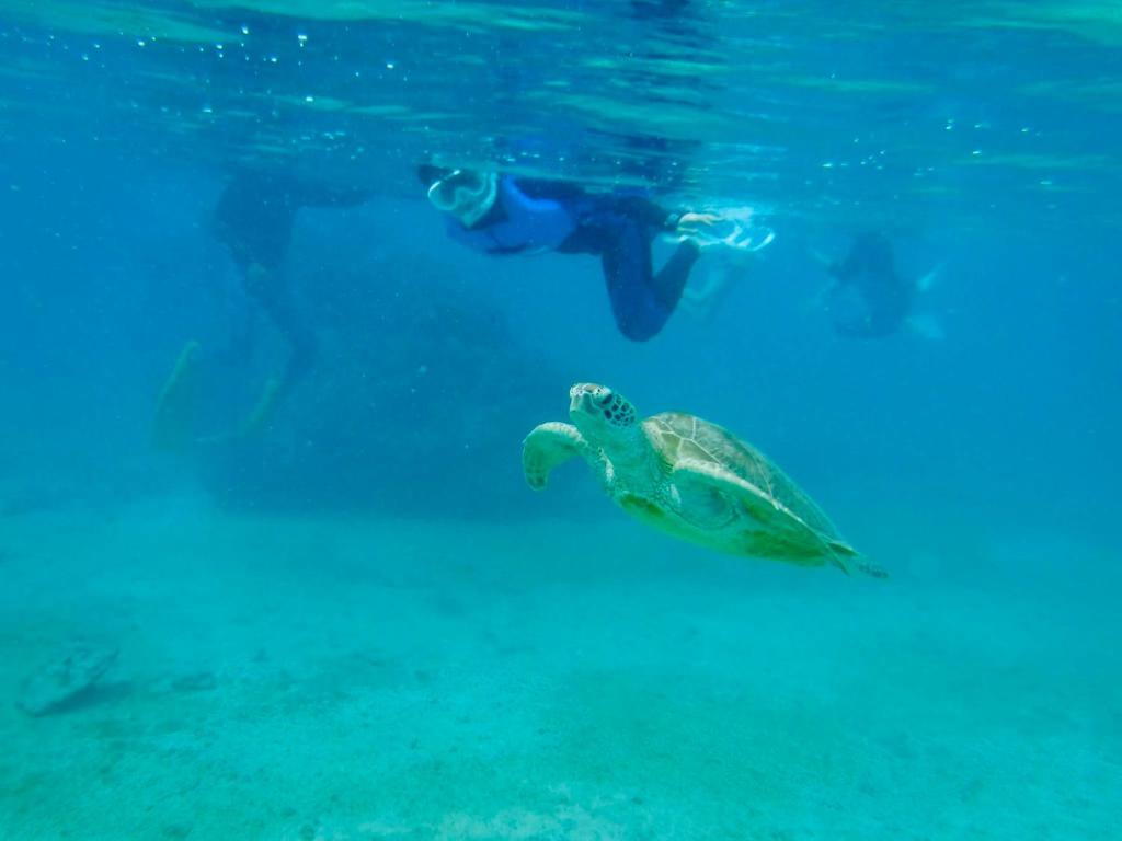 Sports and activities