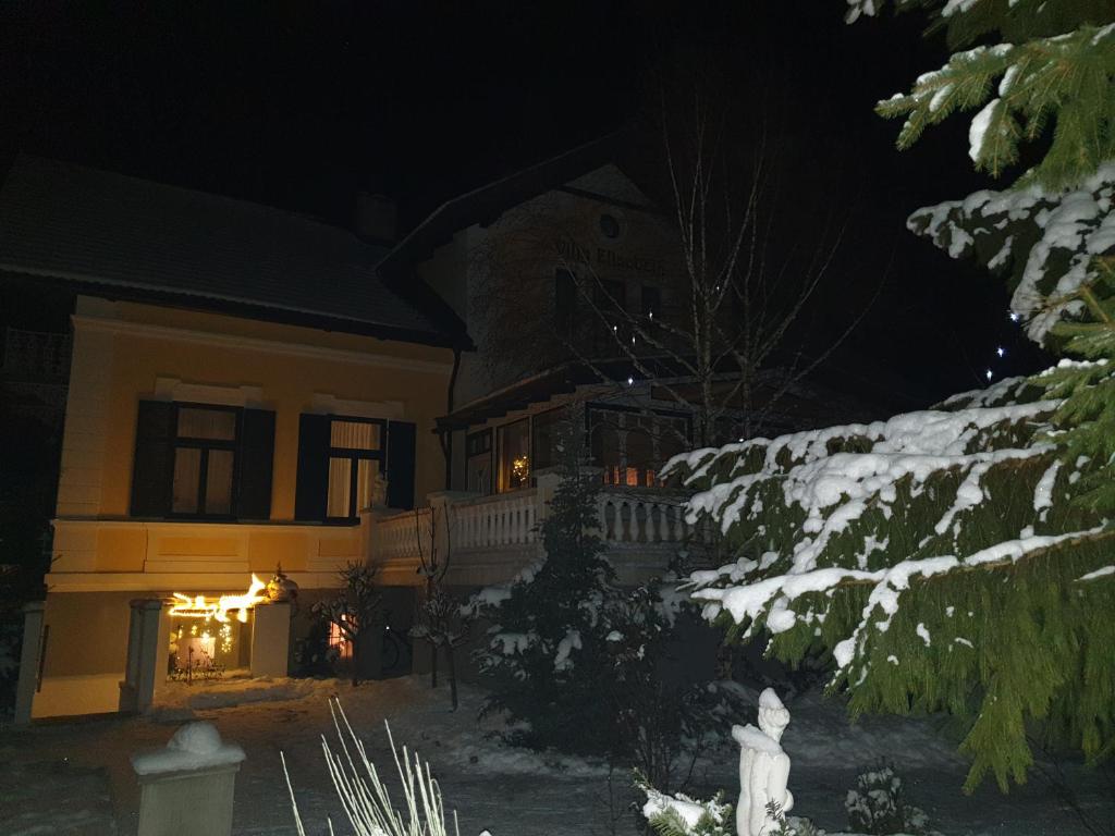 trädgård