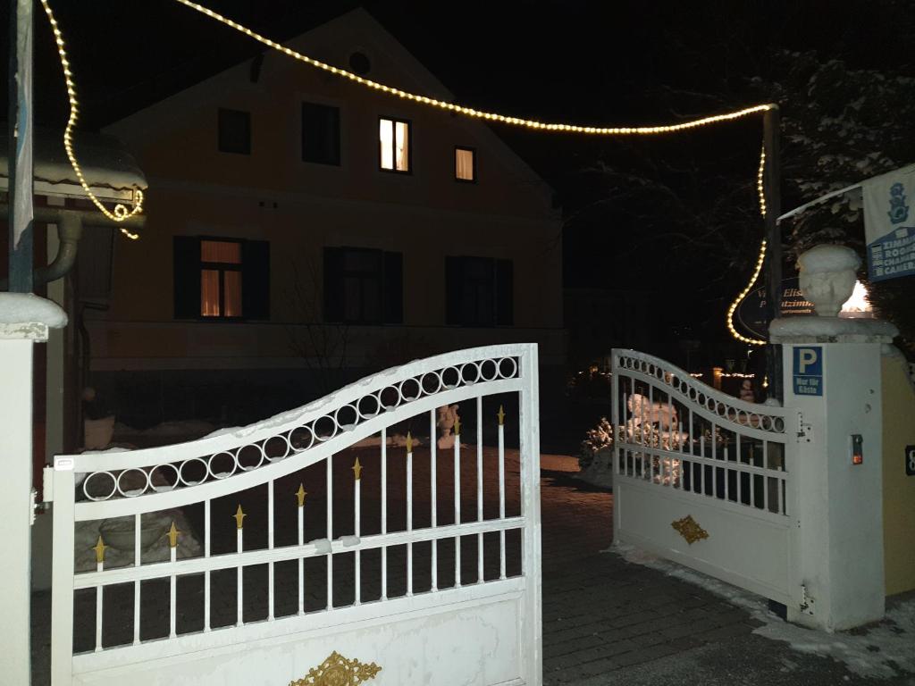 trädgård
