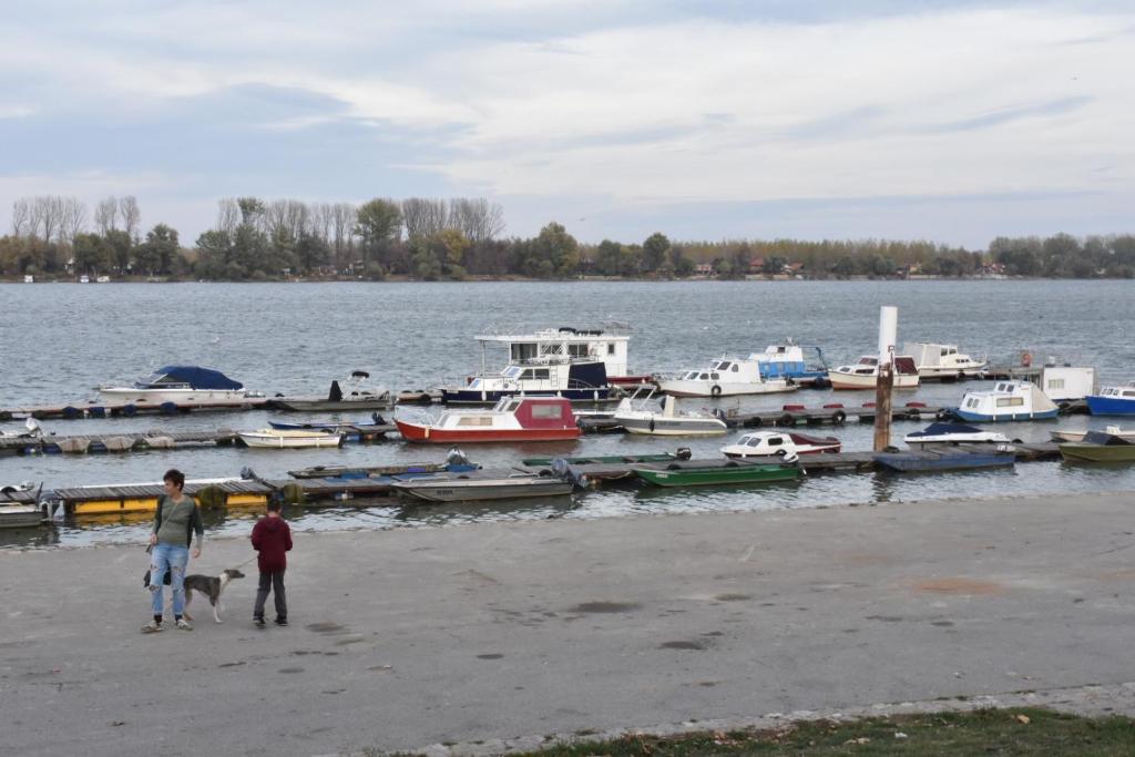Danube star 2 photo