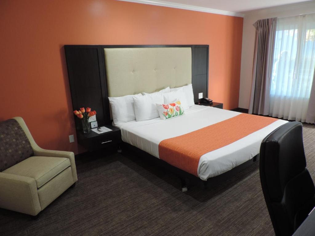 Pavilion Inn Main image 2