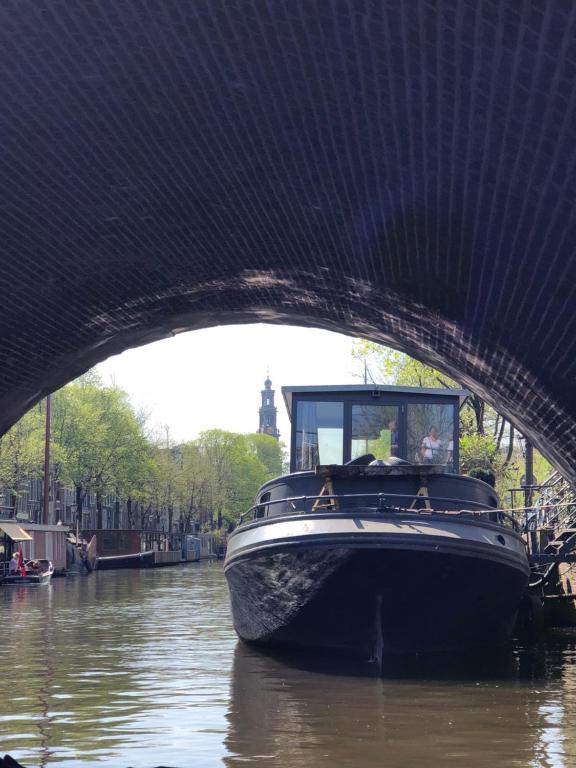 Bee Amsterdam - central apartment in the trendy Jordaan photo