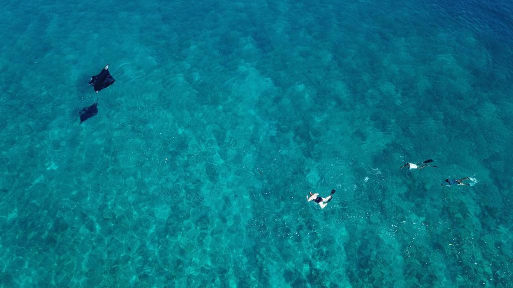 Sports and activities