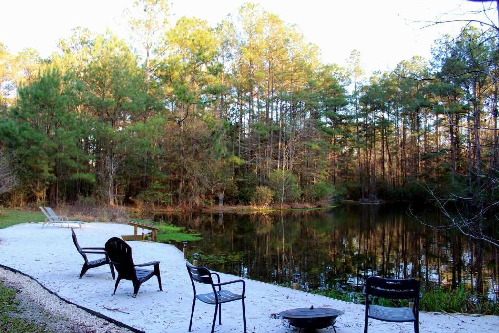 The Meadow Cabin photo