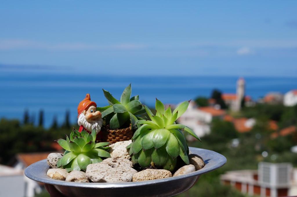 Apartments Mateljak photo