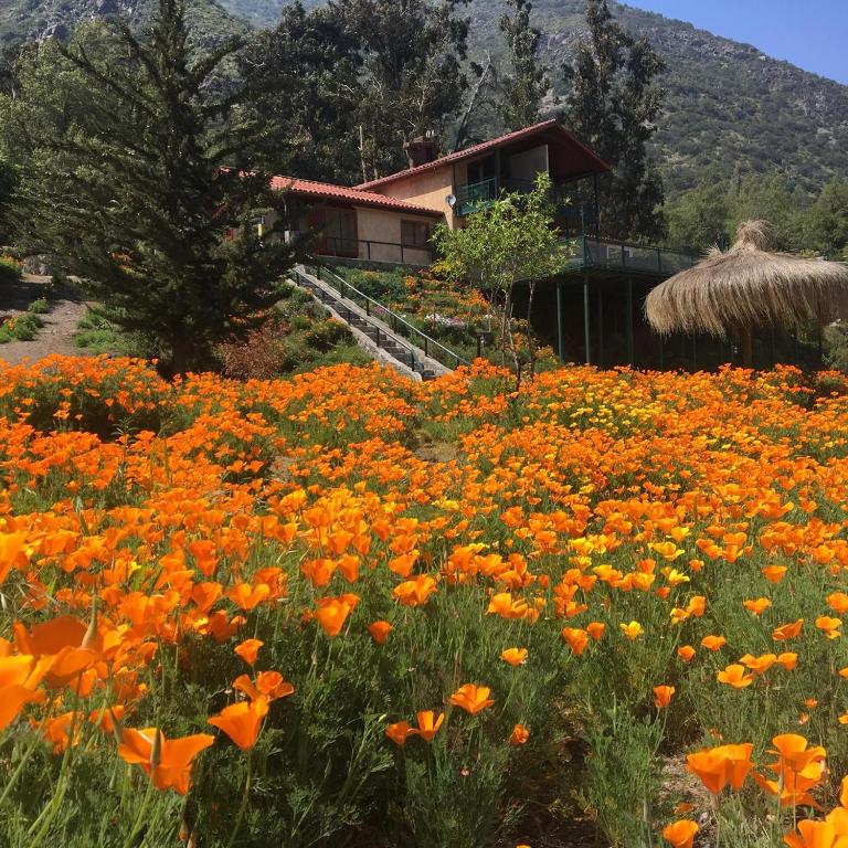 Miramonte B&B photo