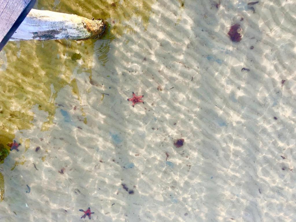 Surrounding environment