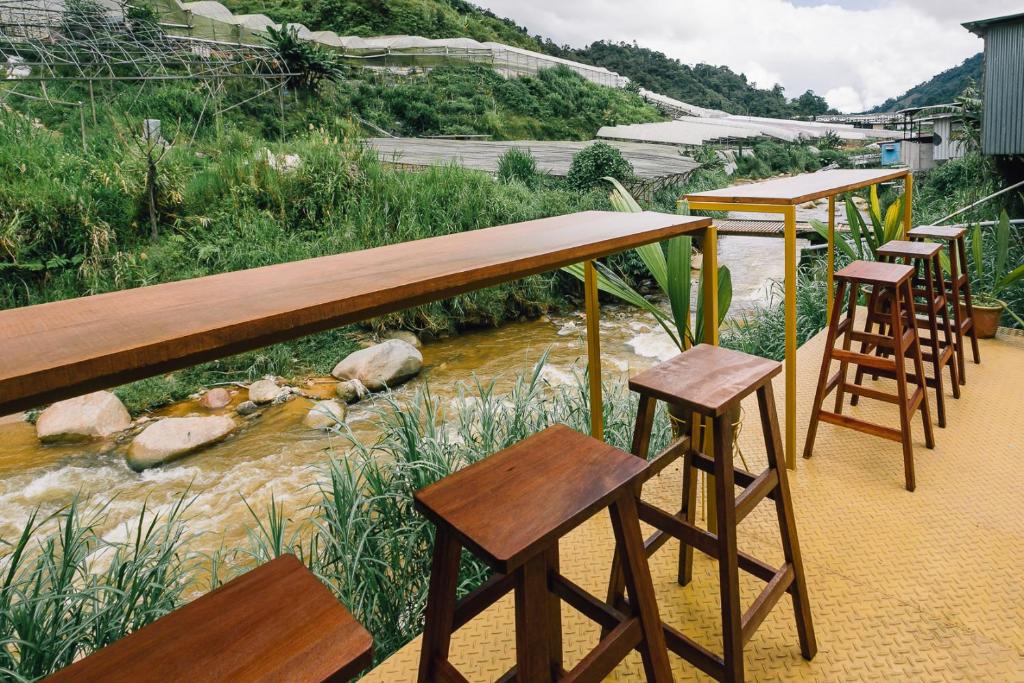 Surrounding environment