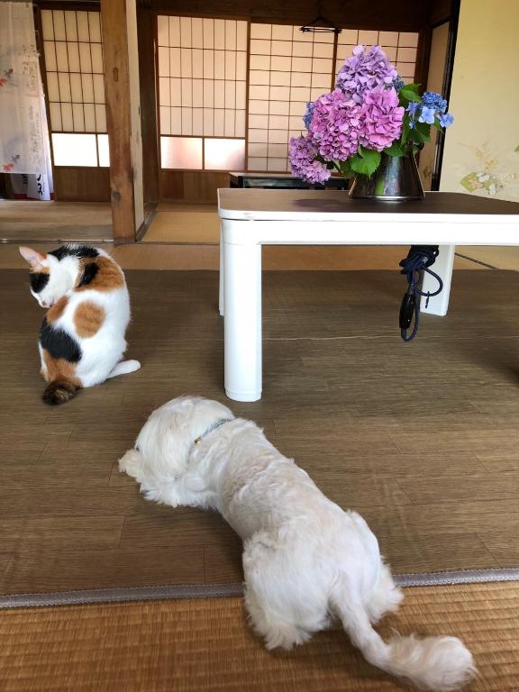Ioki Station Guest House photo