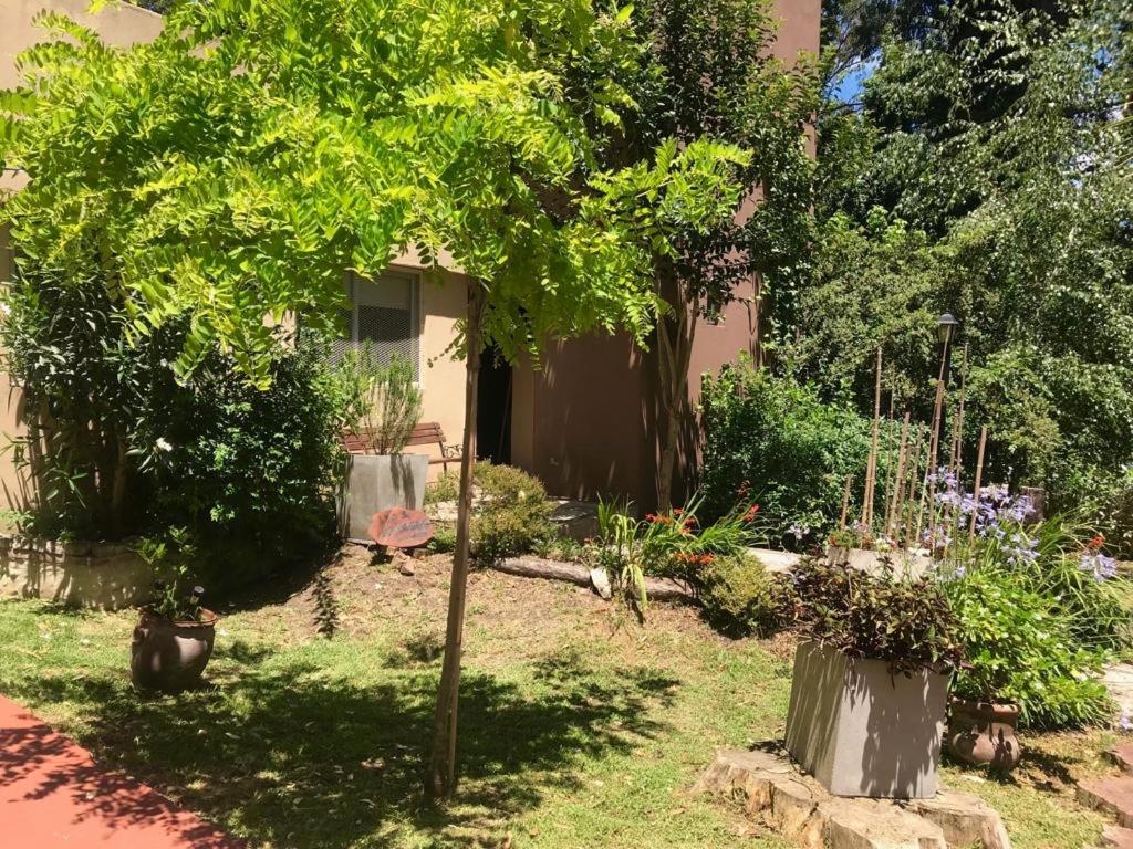 Los 3 Gringos Casa Bosque P Ramos - 4