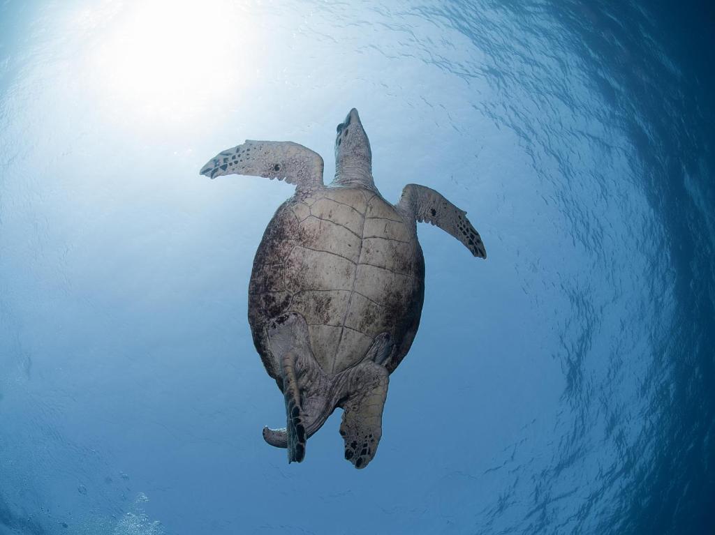 Sports and activities